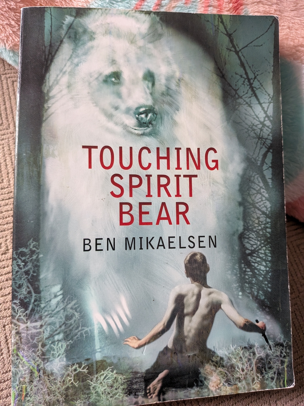 Scholastic Touching Spirit Bear Book